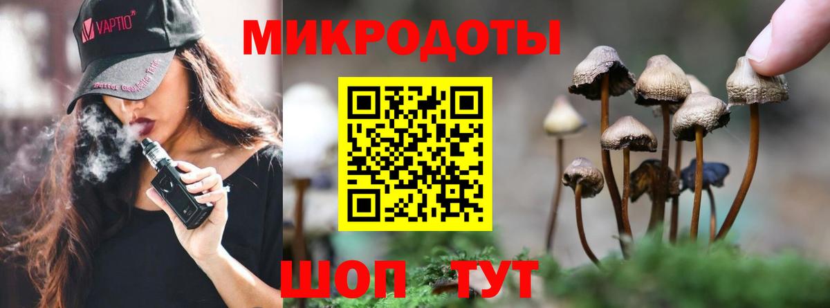 Псилоцибиновые грибы ЛСД  Вход с VPN  Псилоцибиновые грибы GOLDEN TEACHER  Магадан 